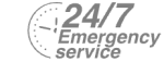 24/7 Emergency Service Pest Control in Morden Park, Morden, SM4. Call Now! 020 8166 9746