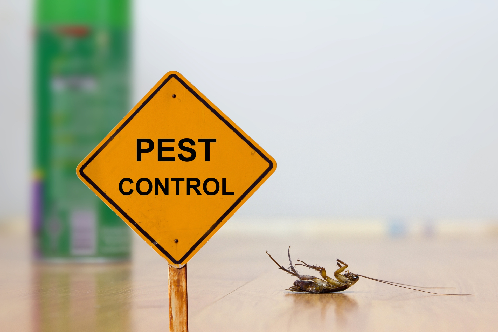 24 Hour Pest Control, Pest Control in Morden Park, Morden, SM4. Call Now 020 8166 9746